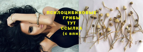 ГАЛЛЮЦИНОГЕННЫЕ ГРИБЫ Каменногорск