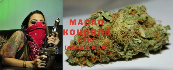 амфетамин Каменка