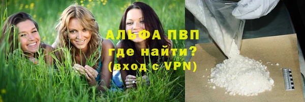 ГАЛЛЮЦИНОГЕННЫЕ ГРИБЫ Каменногорск