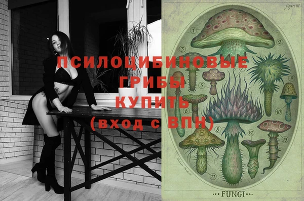 ГАЛЛЮЦИНОГЕННЫЕ ГРИБЫ Каменногорск