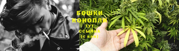 ГАЛЛЮЦИНОГЕННЫЕ ГРИБЫ Каменногорск