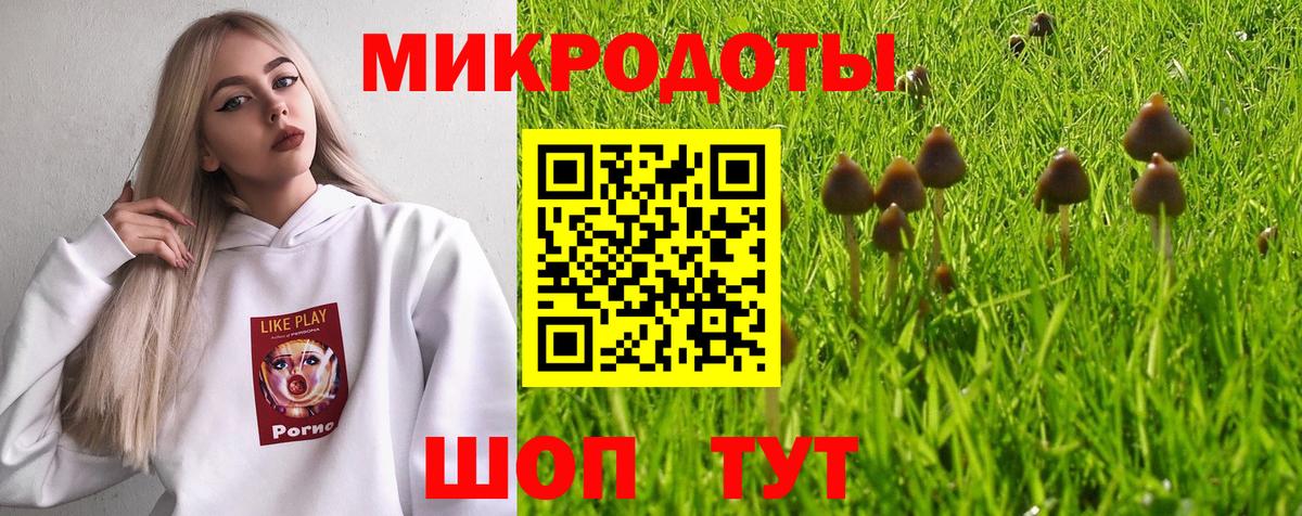 Северск  Псилоцибиновые грибы MAGIC MUSHROOMS  Вход с VPN 